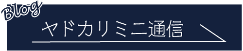 ヤドカリミニ通信